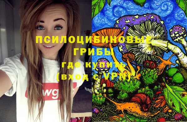 молекула духа Белокуриха