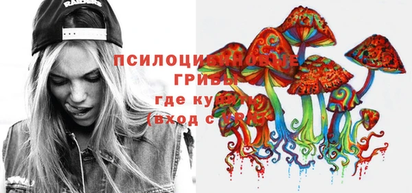 молекула духа Белокуриха
