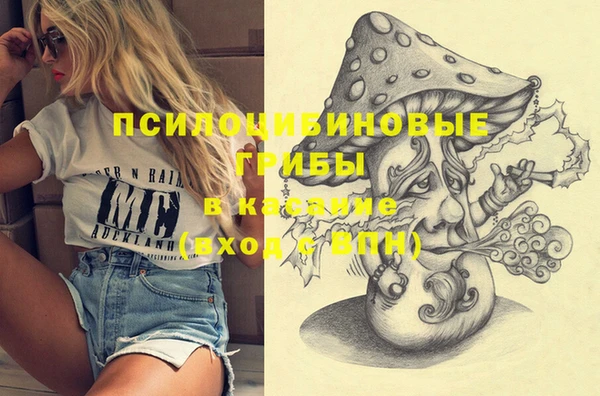 молекула духа Белокуриха